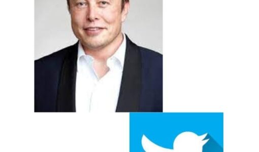 Allen Musk Twitter